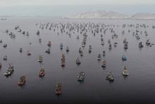 dozens of fishing boats on a misty body of water